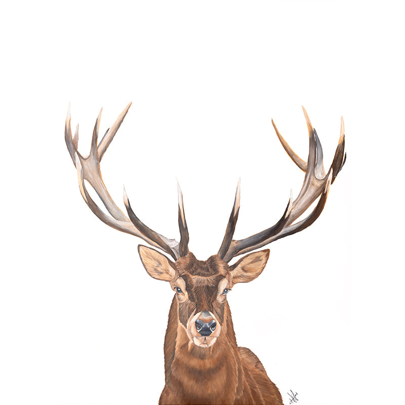Buck