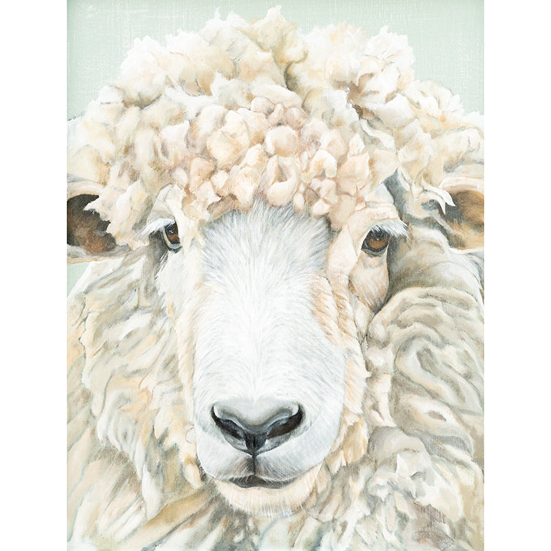Sheep Close-up