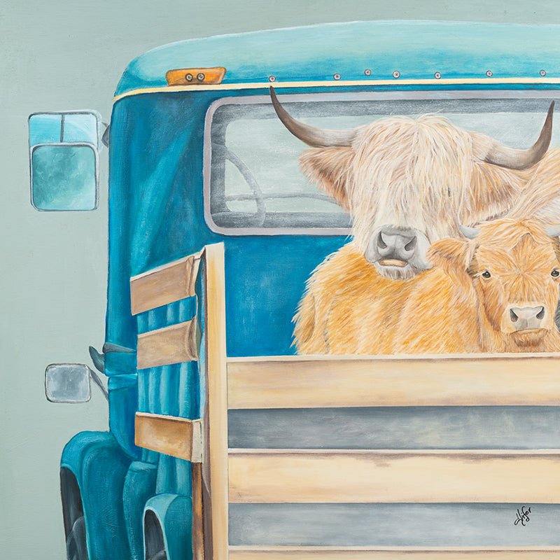 Coos in Truck