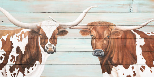 Two Longhorns