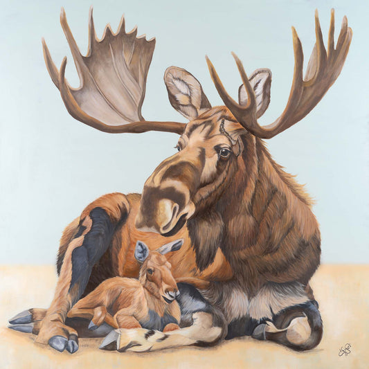 Moose & Calf